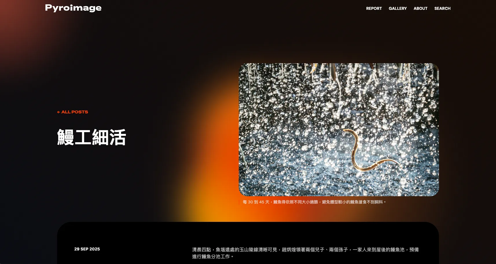 PyroImage visual journalism platform article view